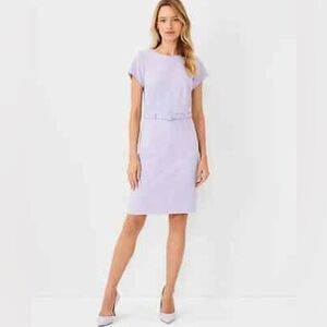 Ann Taylor Light Purple Seamed Belted Dress Size 6